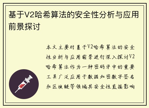基于V2哈希算法的安全性分析与应用前景探讨