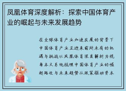 凤凰体育深度解析：探索中国体育产业的崛起与未来发展趋势